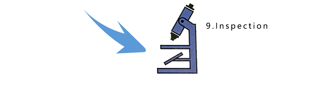 inspection inspection